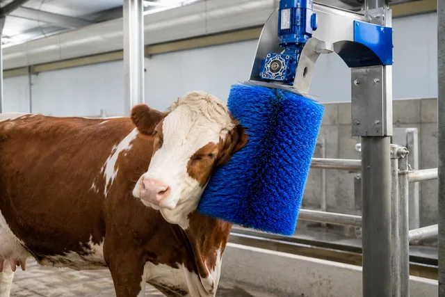 Agriculture & Livestock